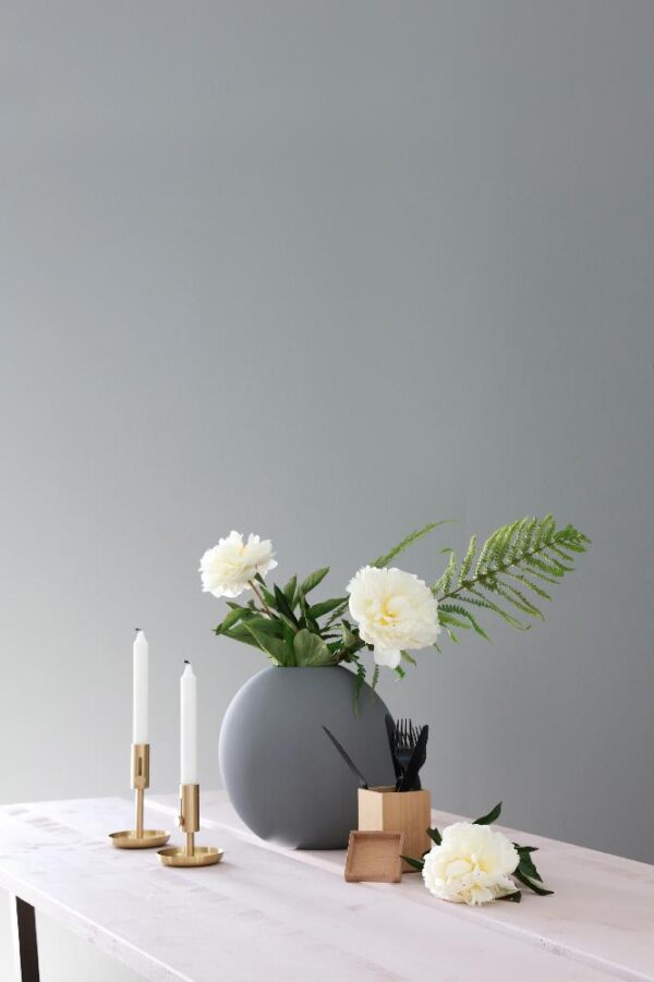 FORESTIA SPONPLATE WALLS2PAINT 12X620X2800 - Bilde 10