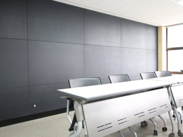 FRITZØE MDF FORESCOLOR 19X1220X2440 SORT - Bilde 12